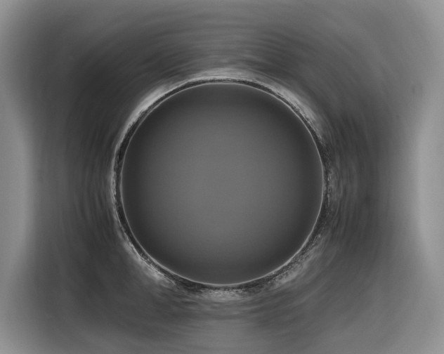 X0000116420998200912081500