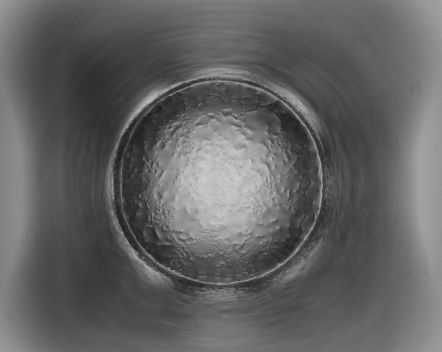 X0000116420999200912081500