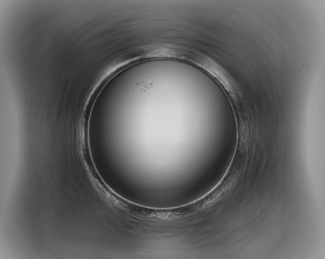 X0000116421000200912081500