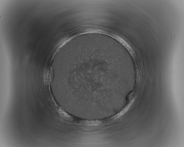 X0000116421001200912081500
