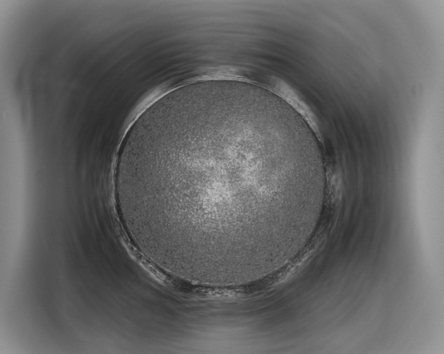 X0000116421002200912081500