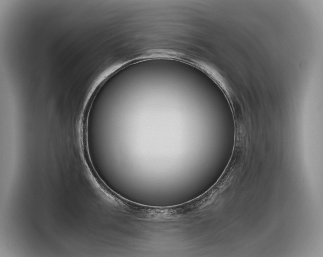 X0000116421003200912081500