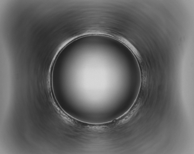 X0000116421004200912081500