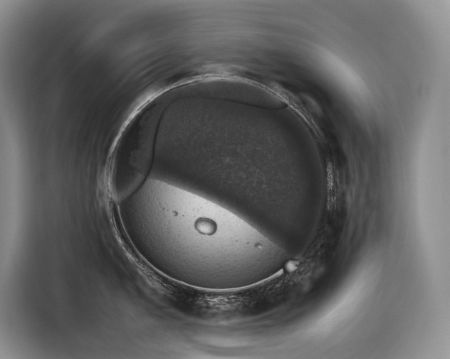 X0000116421005200912081500