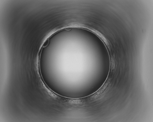 X0000116421006200912081500