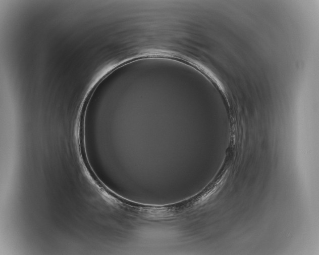 X0000116421007200912081500