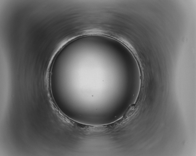 X0000116421008200912081500