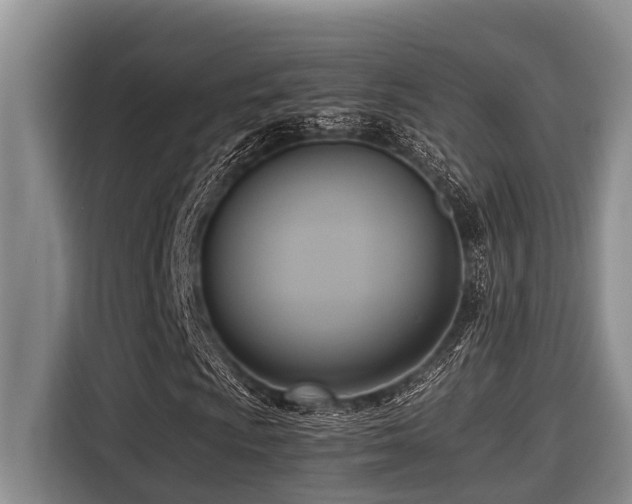 X0000116421009200912081459