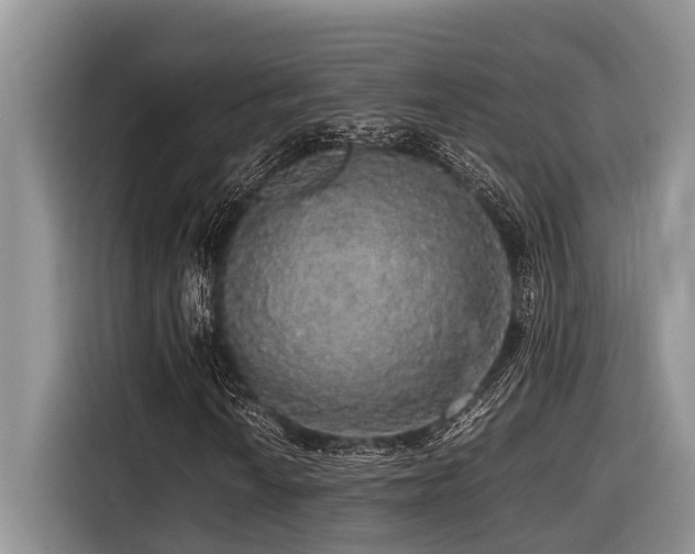 X0000116421010200912081459
