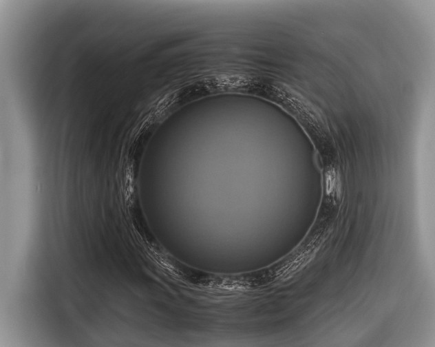 X0000116421011200912081459