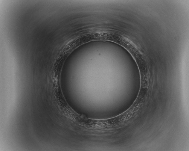 X0000116421013200912081459