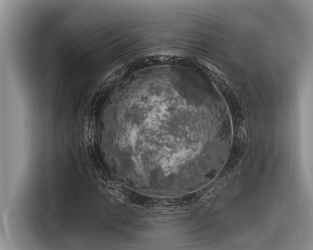 X0000116421014200912081459