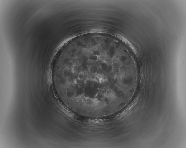 X0000116421019200912081500