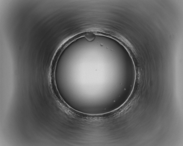 X0000116421020200912081500