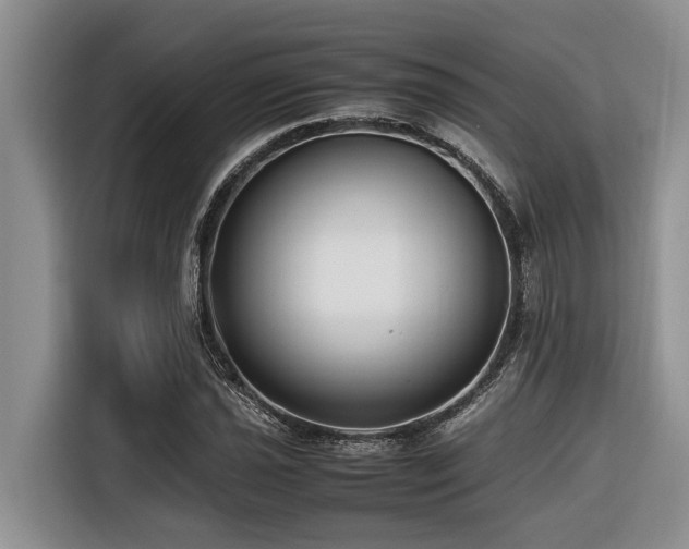 X0000116421021200912081500