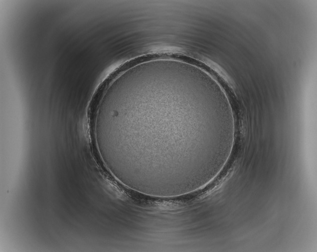 X0000116421022200912081500