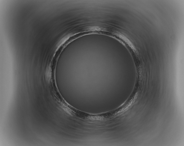 X0000116421023200912081500