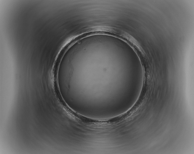 X0000116421024200912081500