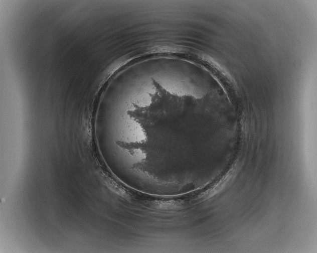 X0000116421025200912081500