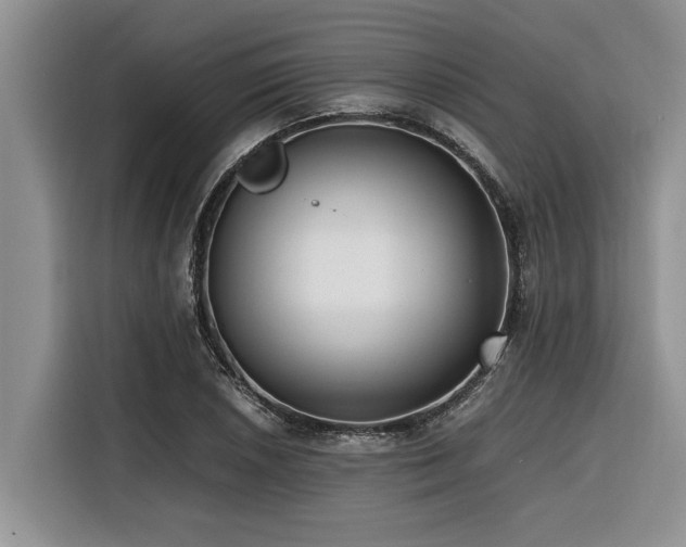 X0000116421026200912081500