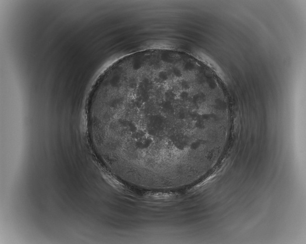 X0000116421027200912081500