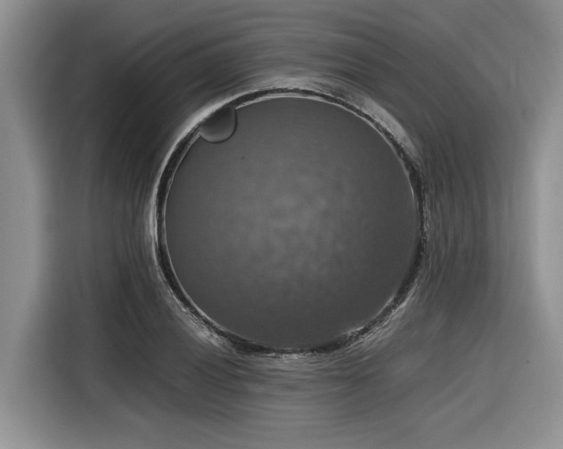 X0000116421028200912081500