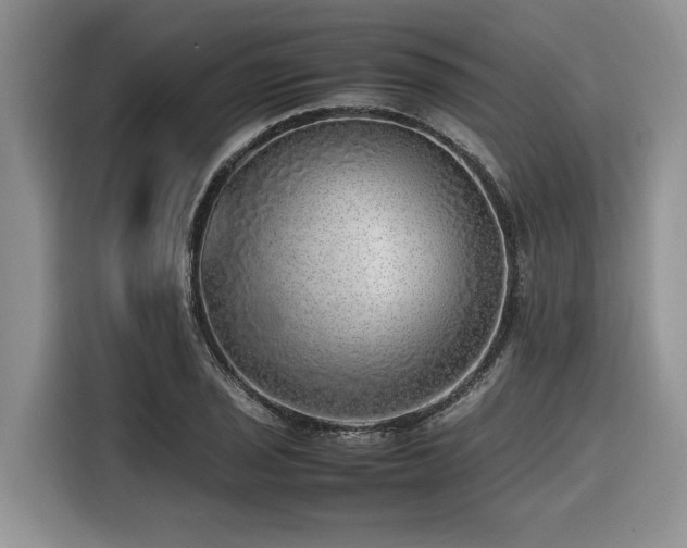 X0000116421029200912081500