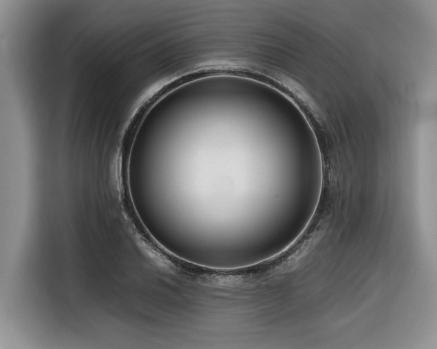 X0000116421030200912081500