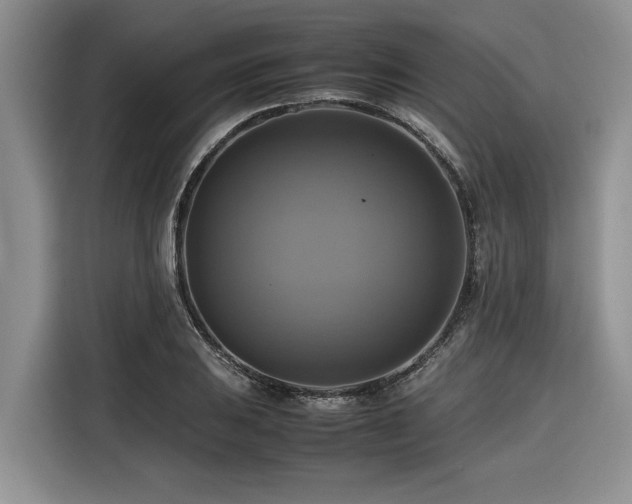 X0000116421031200912081500