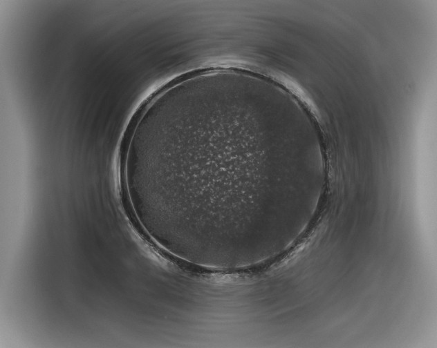 X0000116421032200912081500
