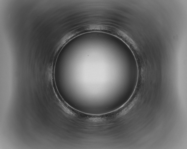 X0000116421033200912081500