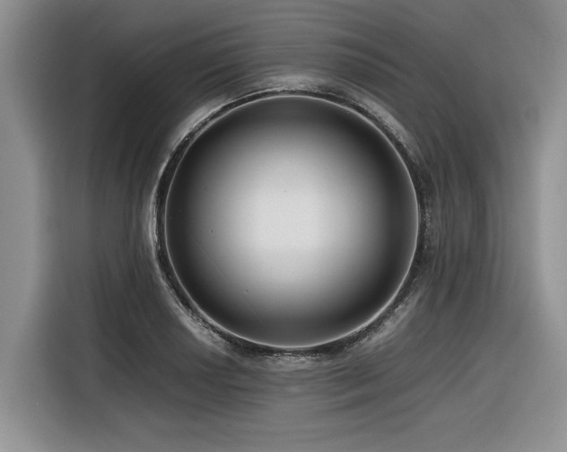 X0000116421034200912081500