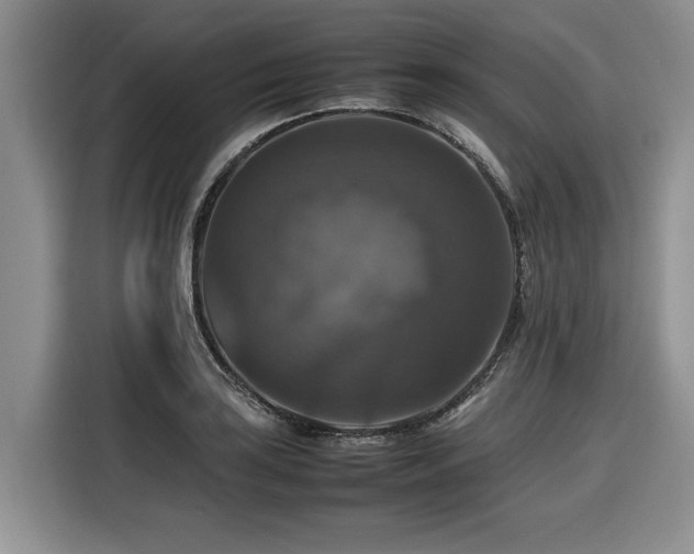 X0000116421035200912081500