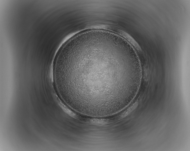 X0000116421036200912081500