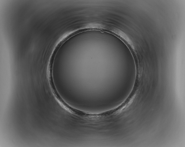 X0000116421037200912081500