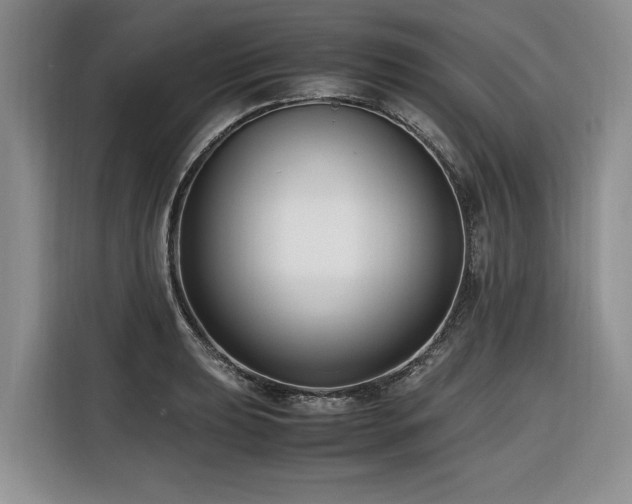 X0000116421039200912081500
