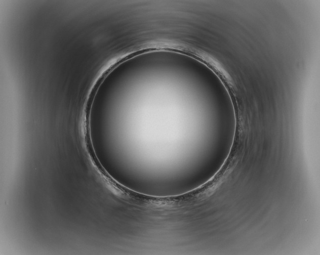 X0000116421040200912081500