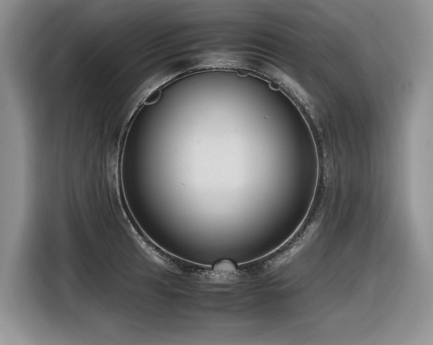 X0000116421041200912081500