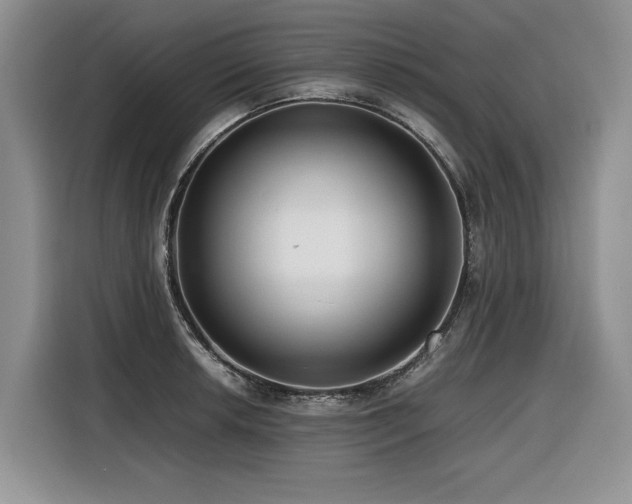 X0000116421042200912081500