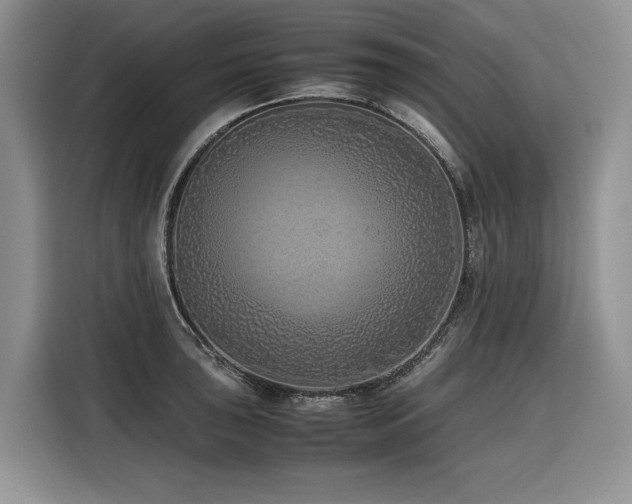 X0000116421043200912081500