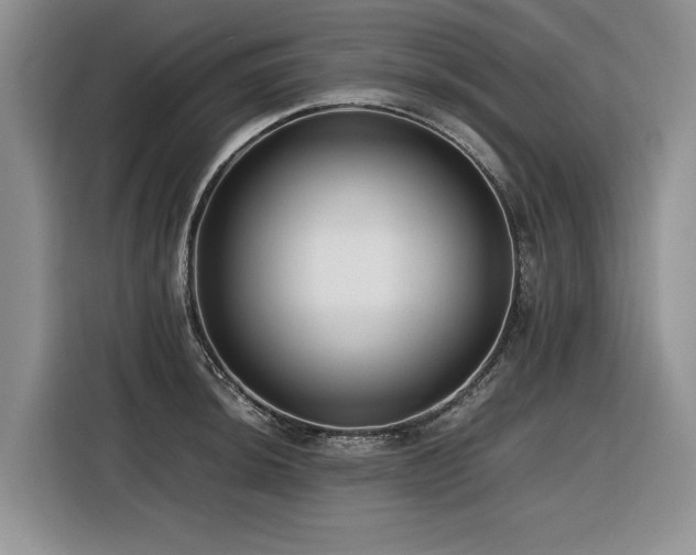 X0000116421044200912081500