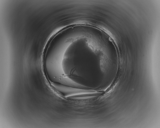 X0000116421045200912081500