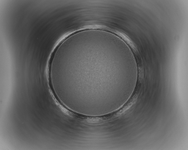 X0000116421046200912081500