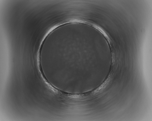 X0000116421048200912081500