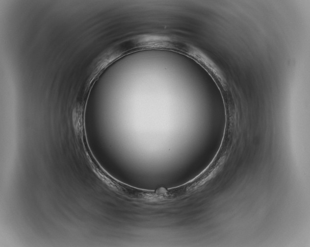 X0000116421049200912081500