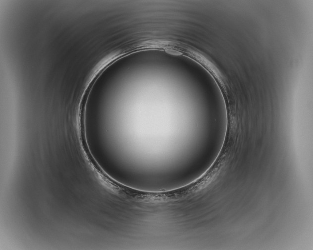 X0000116421050200912081500