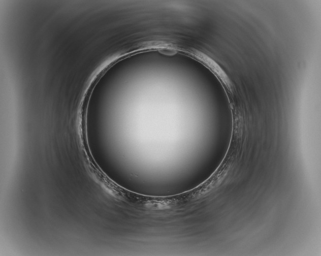 X0000116421051200912081500