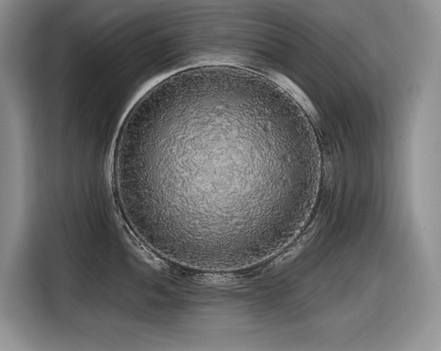 X0000116421052200912081500