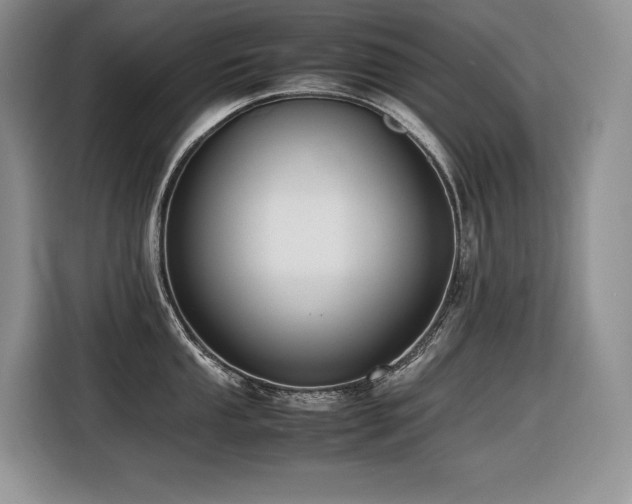 X0000116421053200912081500