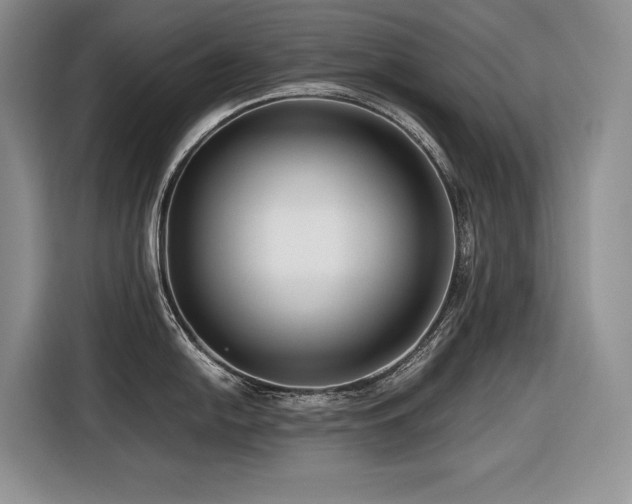 X0000116421054200912081500